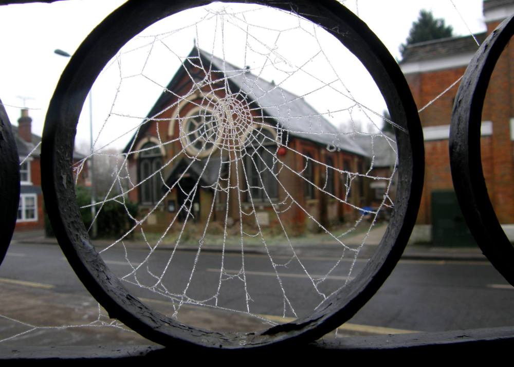 Chapel cobweb pic. jpg